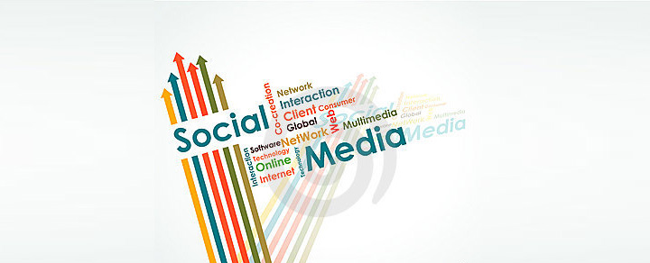 explored the social media marketing