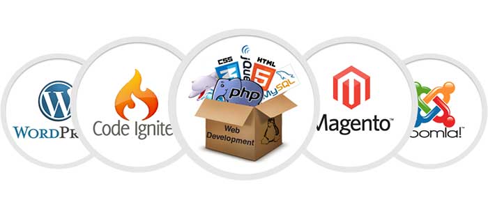 Web Development Sydney