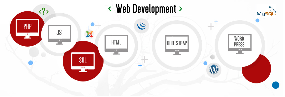 Website Development Company Sydney