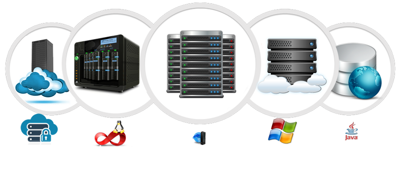 Website Hosting Service