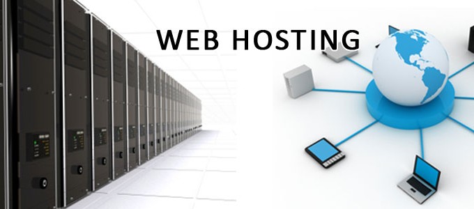 Website Hosting