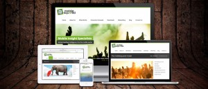 Are you Looking for a Trusted Web Design Company in Sydney?