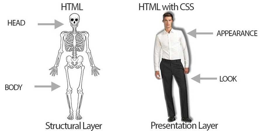 Knowledge Of The Backend Processes