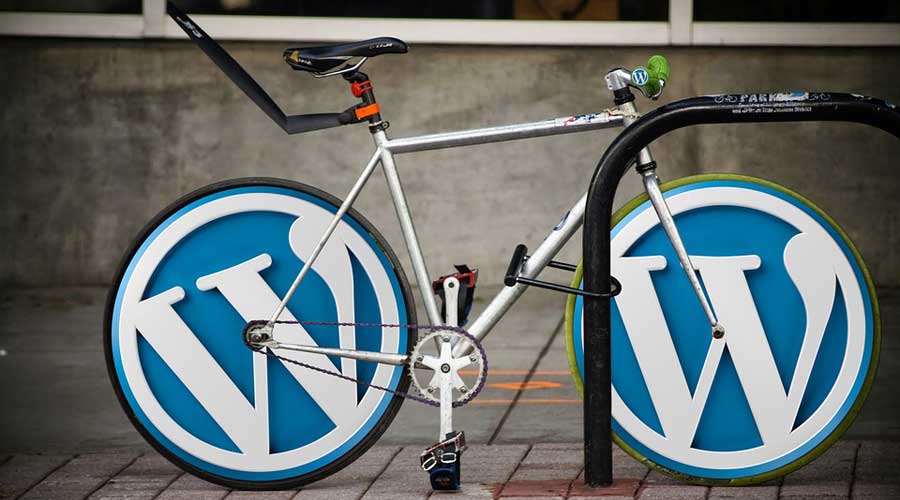 WordPress developer