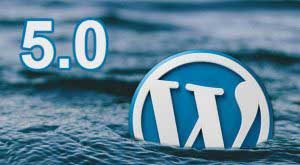 Steps to Take Before Updating to WordPress 5.0