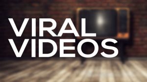 Top 25 Viral Videos of All Time (Web Design City)